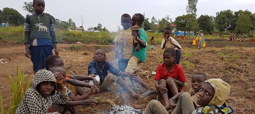 22m people in Congo facing acute food shortage – UN. – Gist Alerts